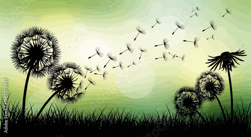 Dandelion seeds dispersing in the wind, a symbol of freedom and new beginnings.