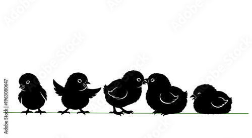 Five adorable baby chicks in silhouette, standing in a row.