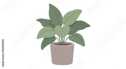 Green Plant in a Pot.