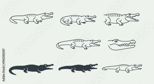 Black and white crocodile line illustrations.