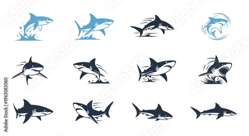 Collection of various shark species illustrations.