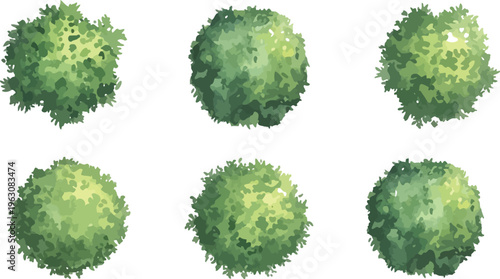 Six top-down watercolor illustrations of green bushes and trees, perfect for architectural plans and landscape design elements.
