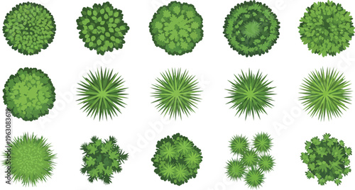 A collection of various green plants and bushes from a top-down perspective, isolated on a white background