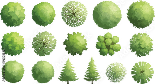 A diverse collection of green trees and bushes in top view perspective for landscape design and architectural plans