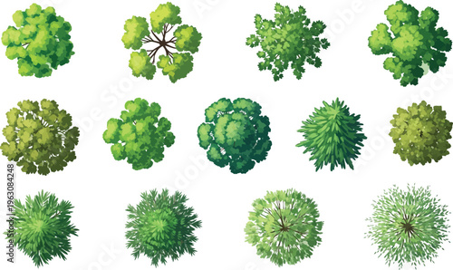 A collection of various green trees and bushes illustrated from a top-down perspective for architectural plans and landscape design