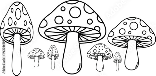 A group of amanita muscaria mushrooms in various sizes and stages of growth