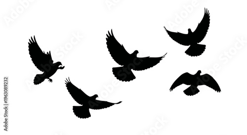 Silhouettes of five birds in flight, captured in various dynamic poses against a clear sky.