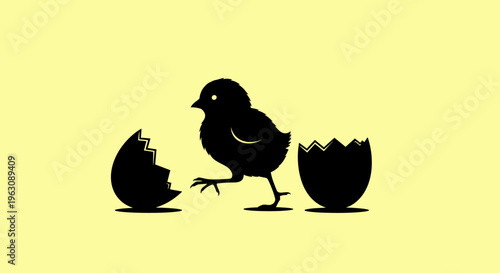 Silhouette of a newly hatched chick standing between broken eggshells.