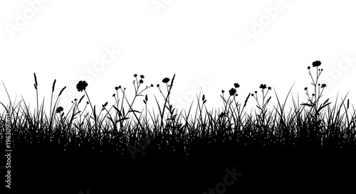 Silhouette of wild grass and wildflowers growing in a field.
