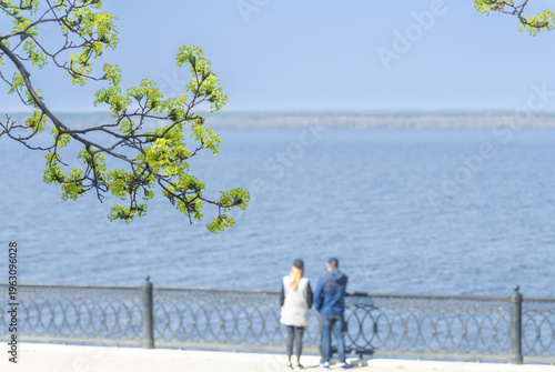A branch of a blooming maple on the background of a spring river landscape
and sky with people.