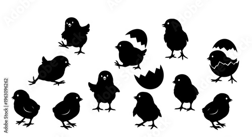 Silhouettes of cute baby chicks and cracked eggs, representing new life and spring.