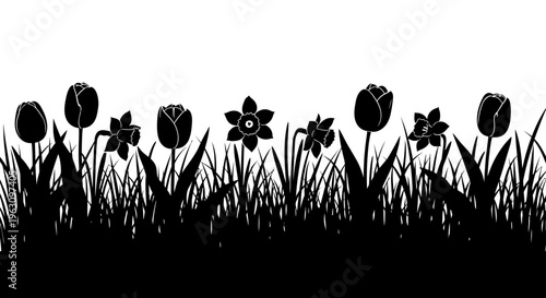Silhouette of spring flowers and grass border on white background.
