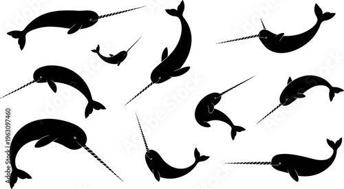 Narwhal silhouette collection marine animal set isolated black shapes swimming whale with horn flat vector illustration for design projects