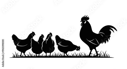 Rooster and Hens Silhouettes on Grass.