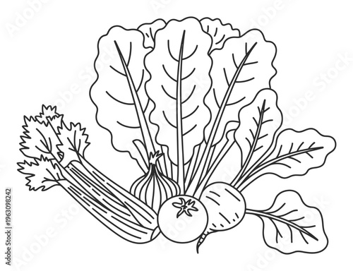 Line of fresh vegetables including celery, onion, tomato, beet, and leafy greens