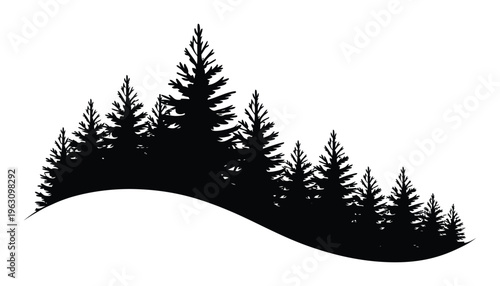 Silhouette of a dense evergreen forest with a rolling hill in the foreground