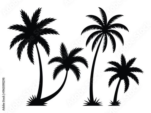Silhouette of four palm trees on a white background