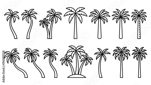 Various palm trees on white background vector illustration.