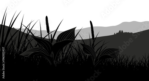 Silhouettes of tall grass and plants in a natural landscape.