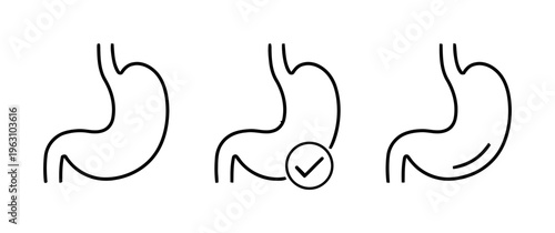 Digestive System Health Check Vector Illustration