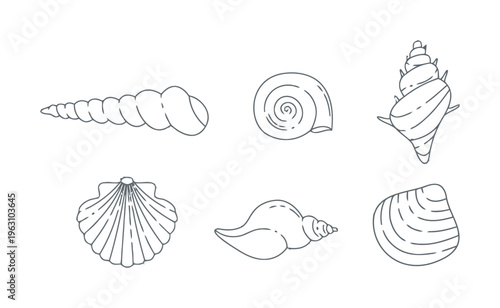 Diverse Seashells Collection Flat Vector Illustration