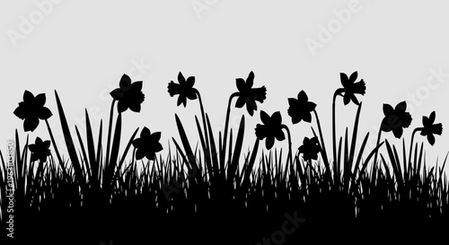 Silhouette of Daffodils and Grass Border.