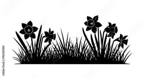 Silhouette of Daffodils and Grass Border.