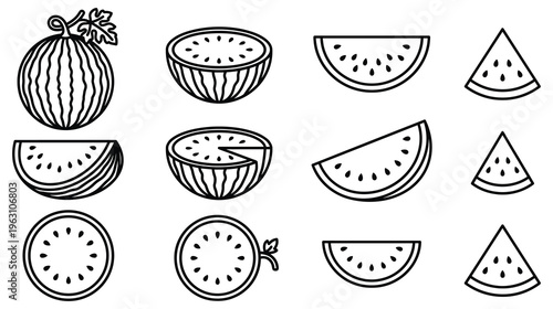 Watermelon fruit set line art design summer snack organic healthy eating.