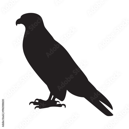 Silhouette of a majestic raptor possibly a hawk or falcon in profile