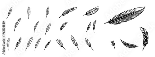 Vector black feather icons set with minimalist line art featuring silhouettes, designs, graphics with elegance and monochrome