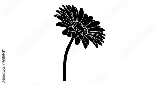 Silhouette of a single gerbera daisy flower with a long stem.
