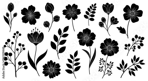 Elegant Black Silhouettes of Various Floral Elements and Botanical Designs.