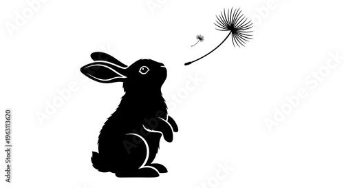 Black rabbit looking up at a dandelion seed in the air.