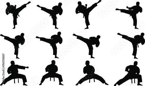 Collection of martial arts fighter silhouettes performing high kicks and stances, combat training poses, dynamic action movement, sports vector illustration set