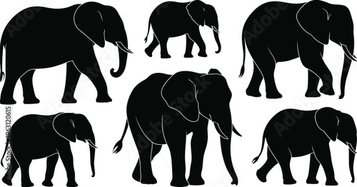 Set of black elephant silhouettes, collection isolated on white background, wildlife safari animals vector illustration icons pack design elements