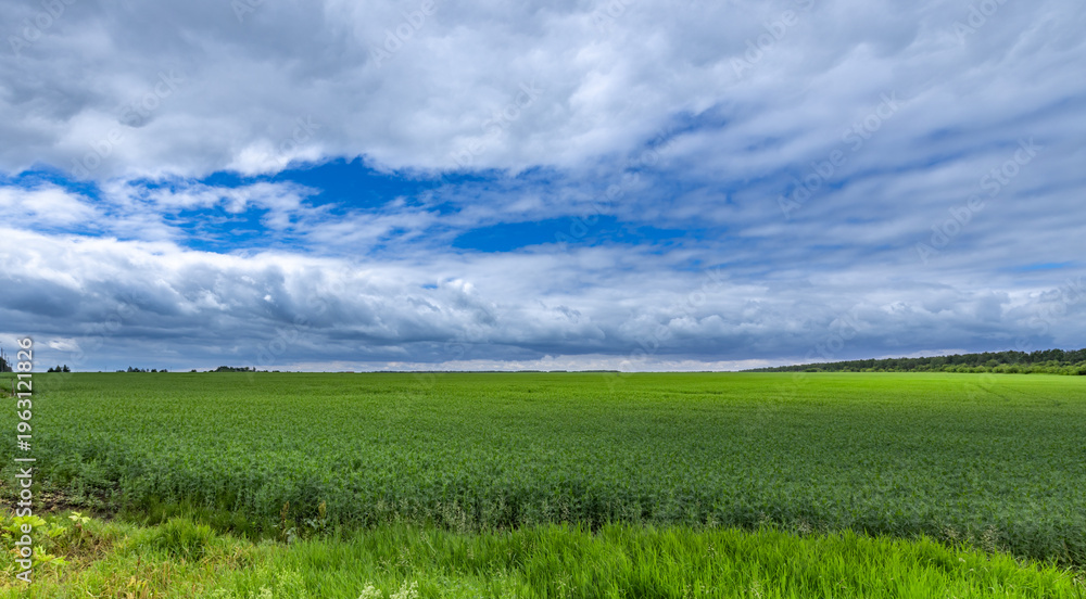 Obraz premium Green fields under stormy sky with scattered clouds