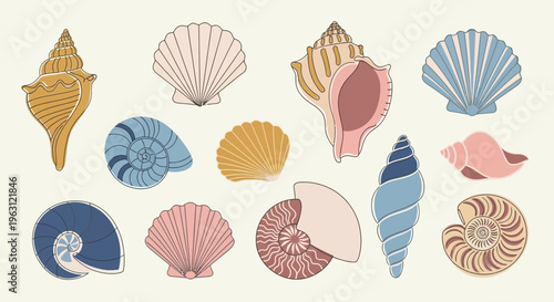 Pastel seashell assortment with spiral conch scallop and nautilus