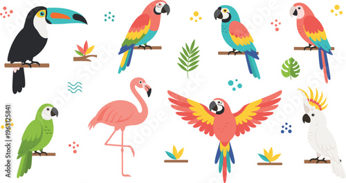 Tropical Bird Collection in Flat Style Featuring Toucan Parrot Flamingo and Cockatoo with Colorful Feathers for Exotic Wildlife and Nature Design Projects.