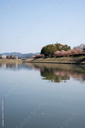 春の陽気