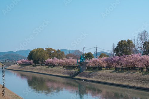 春の陽気