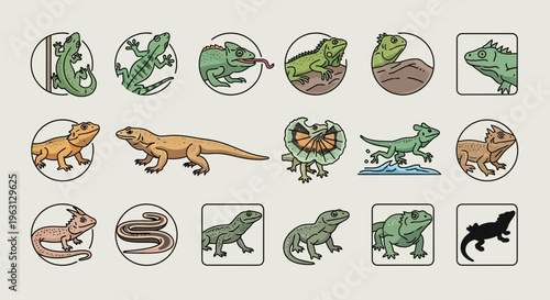 Set of Various Lizard Species and Reptile Icons