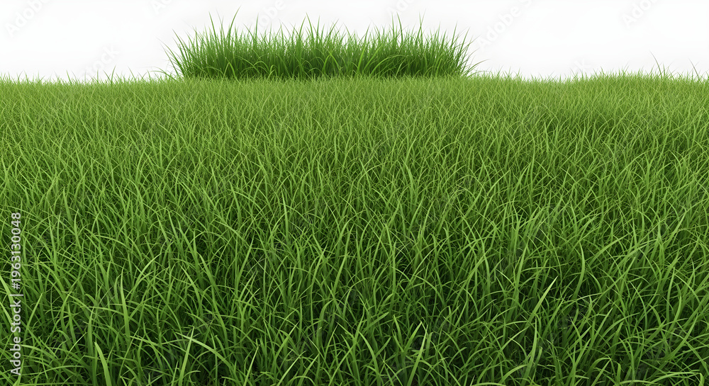 Fototapeta premium Lush green grass field with a small bush