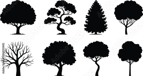 Set of tree silhouettes collection, various forest and garden trees isolated in black, nature design elements for landscape illustration on white background