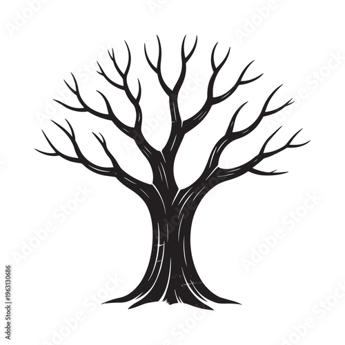 A stark black silhouette of a bare tree with intricate branching