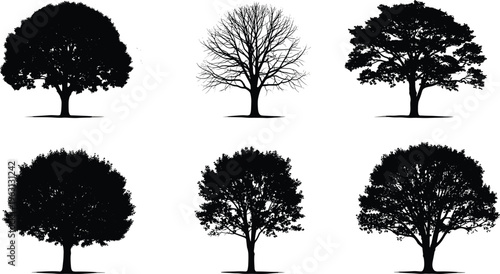 Tree silhouettes set with different shapes and seasonal styles, detailed nature elements illustration isolated on white background for landscape, environment and design use