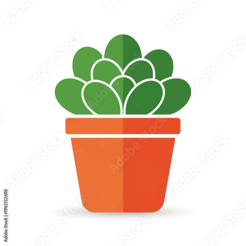 Green Succulent Plant in Pot.