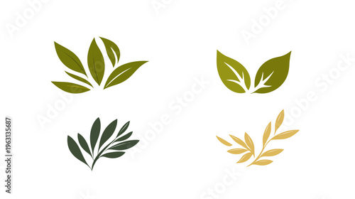 Four stylized botanical illustrations featuring various leaf arrangements and color palettes on a white background