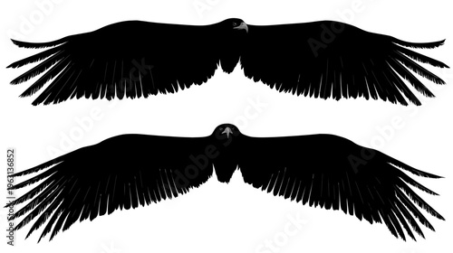 Black graphic illustration featuring two bird silhouettes in a symmetrical design with outstretched wings