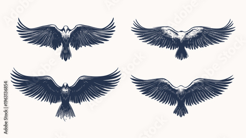 A group of four black avian illustrations in a hand-drawn style with wings spread wide