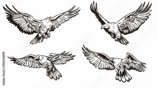 Black and white illustration of four eagles in flight with outstretched wings against white background